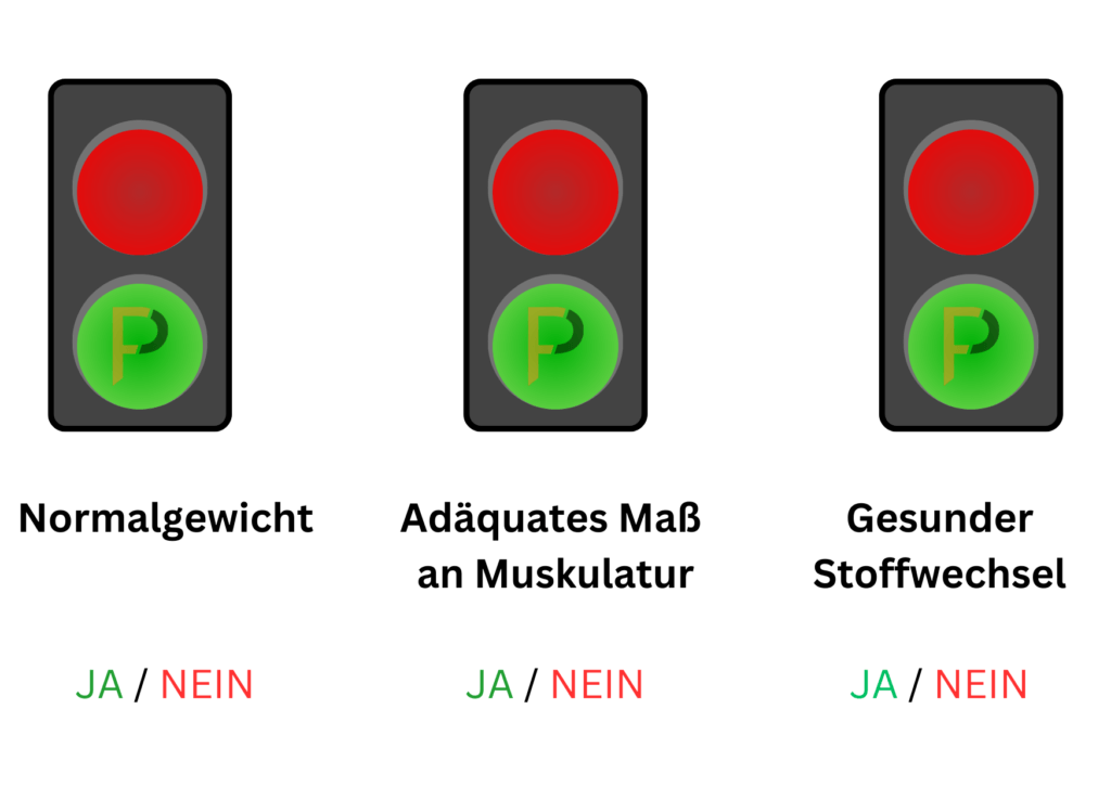 Ampel-System für die Bewertung von Normalgewicht, Muskulatur und Stoffwechselgesundheit: Rotes und grünes Licht zur Anzeige von JA/NEIN für Normalgewicht, adäquates Maß an Muskulatur und gesunden Stoffwechsel.